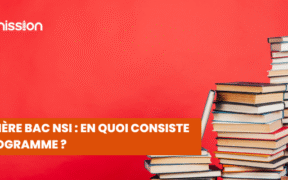 Première Bac NSI En quoi consiste le programme