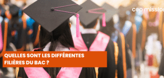 Quelles sont les différentes filières du bac
